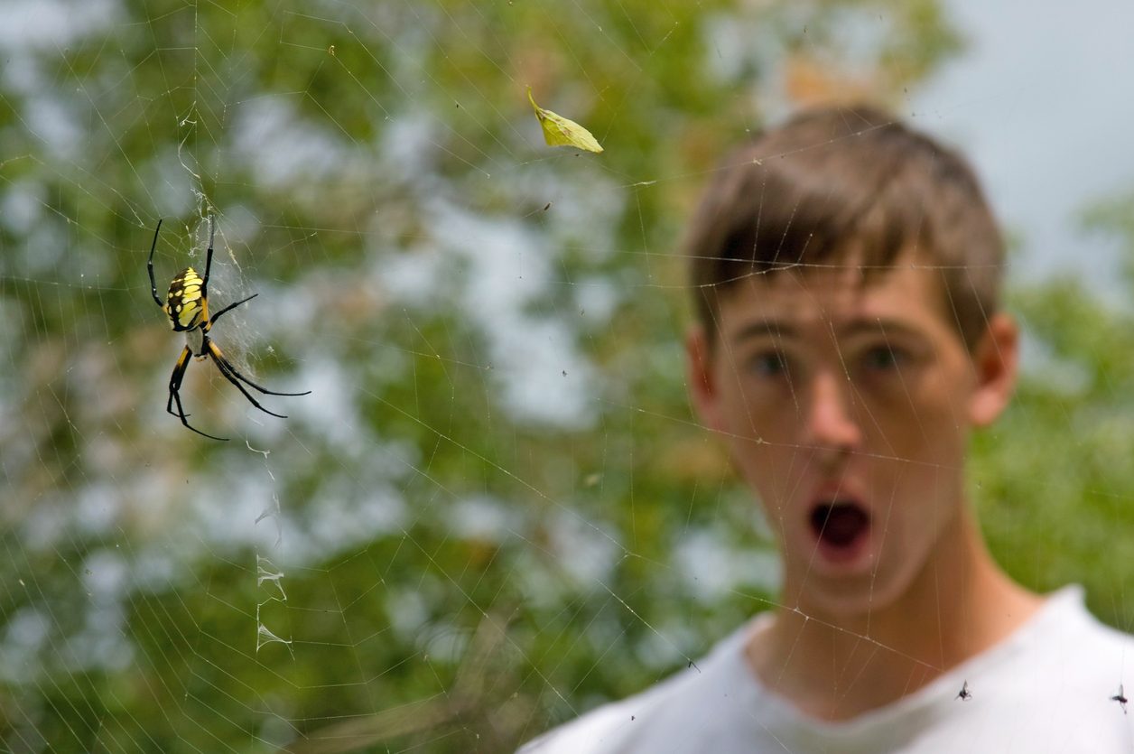 A man surprised by a large spider on its web in Northwest Indiana