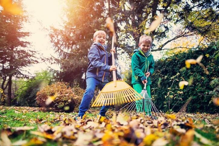 Two Children are Cleaning their Home Lawn in Northfield, IL